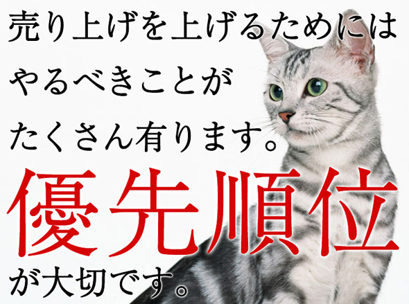 楽天市場店運営サポート
